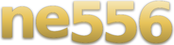 ne556 logo
